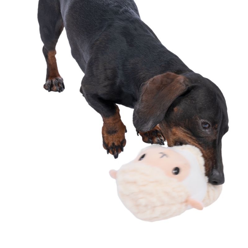 TIAKI Sheep Dog Toy Mini: diameter 15 x (H) 18 cm