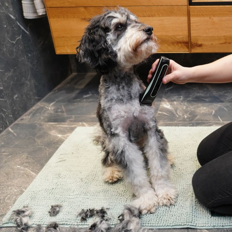 kooa GEAR 3S Battery-Operated Clippers Complete Set