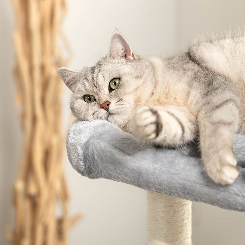 Lionto Scratching Post - 80cm Light Grey