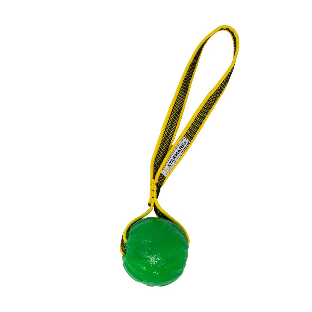 Starmark GripCord Chew Ball Loop Size M: 6.5cm (diameter)