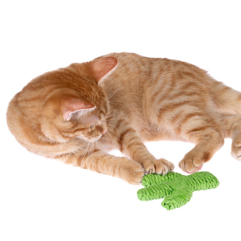 TIAKI Nature Paper Cactus 1 Toy