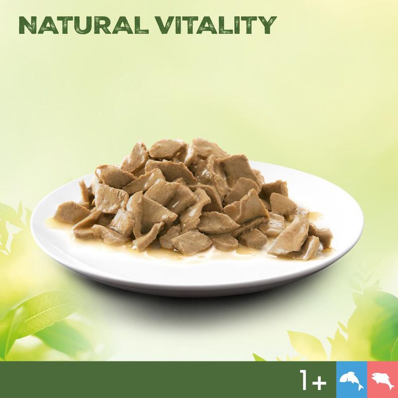 Perfect Fit Natural Vitality Adult 1+ Wet Cat Food Ocean Fish & Turkey (6 x 50g)