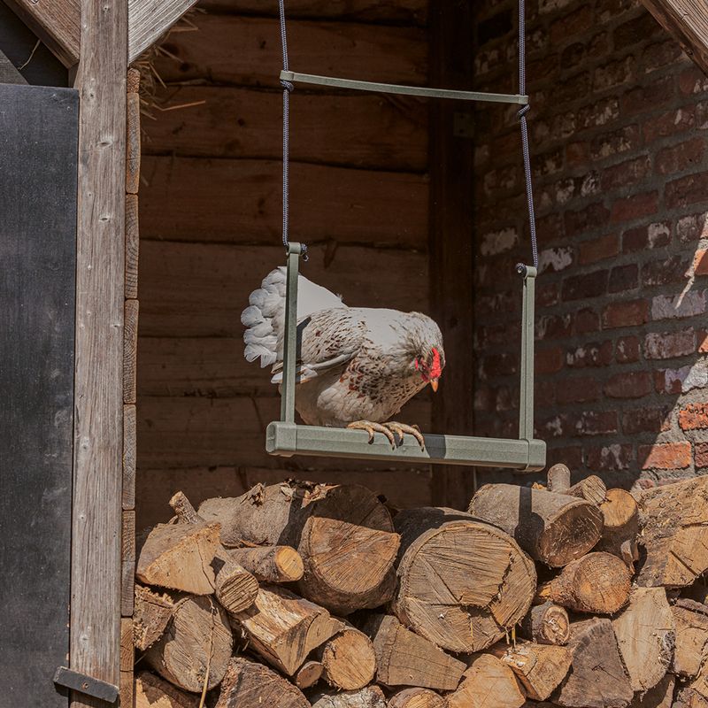 Beeztees Chicken Swing 40 x 5 x 30cm (L x W x H)