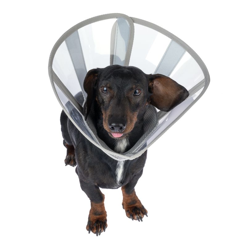 kooa Premium Protective Collar for Pets Size XS: 20 - 30 cm Neck Circumference