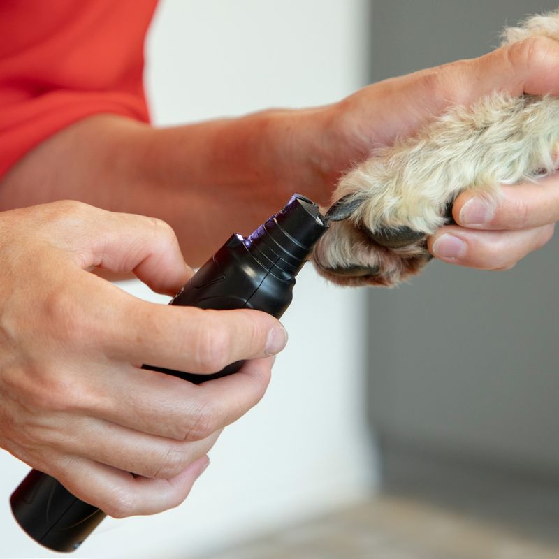 kooa Cordless Claw Sander 1 piece