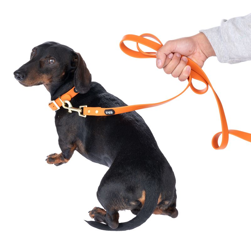 TIAKI Waterproof PVC Lead - Orange Length: approx. 200cm