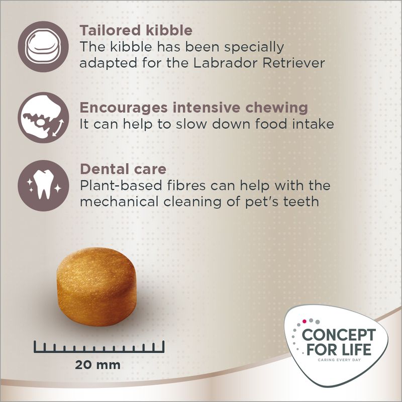 Concept for Life Labrador Retriever Adult 1.5kg
