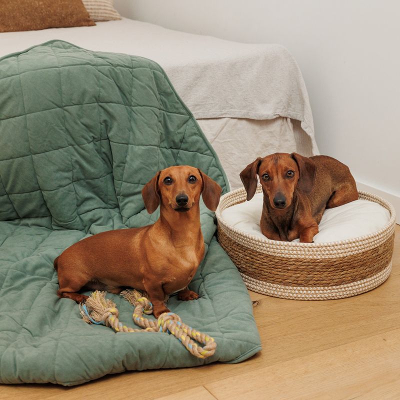 Modern Living Frontera Cuddle Bed diameter 40 x (H) 15 cm