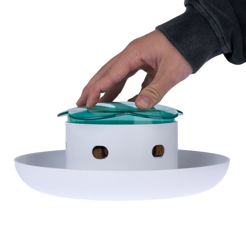 TIAKI Daisy Interactive Food Dispenser 1 Dispenser