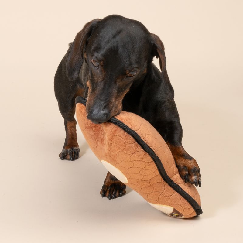 TIAKI Flat Sloth Dog Toy 29 x 18 x 9 cm (L x W x H)