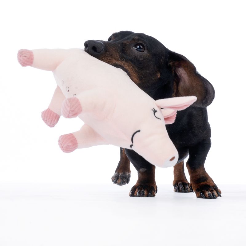 TIAKI Oink Pig Plush Squeaker Toy approx. 25.5 x 7 x 14 cm (L x W x H)