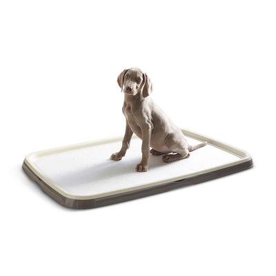 Savic Puppy Trainer Starter Set M (with 7 Pads)