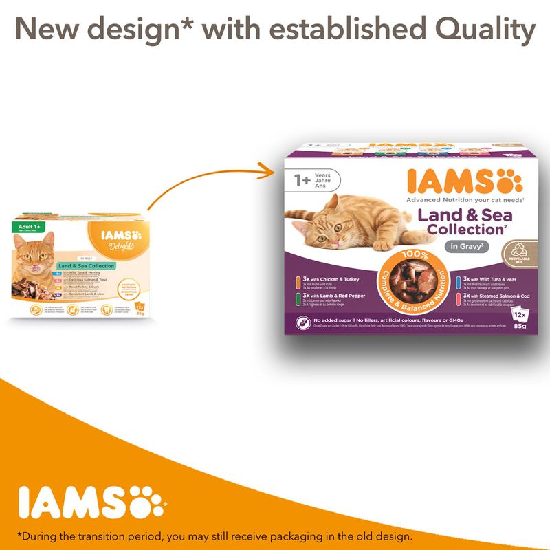 IAMS Advanced Nutrition Adult – Land & Sea Collection in Jelly (12 x 85g)