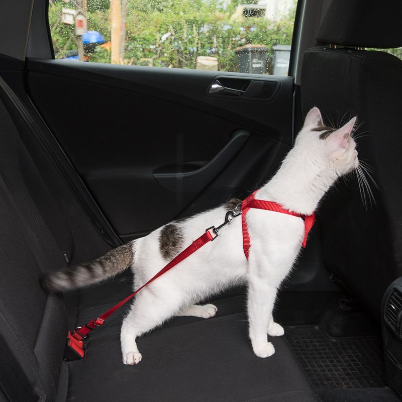 Trixie Cat Car Harness Red