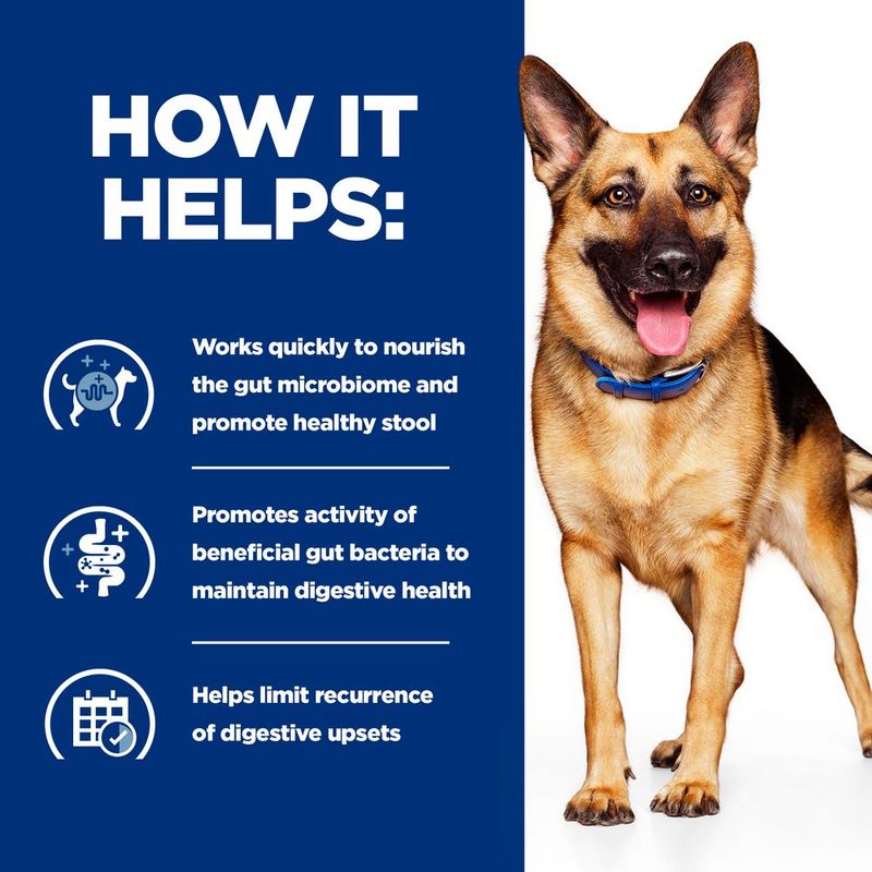 Hill's Prescription Diet Canine Gastrointestinal Biome - Chicken 12 x 370g