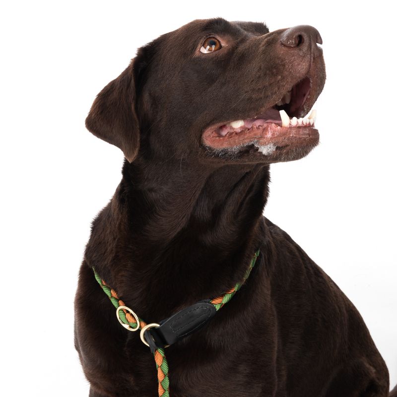 TIAKI Retriever Leash Twist 170 cm long, diameter 12 mm - green/brown