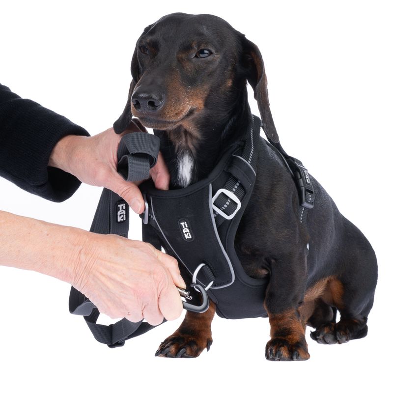 TIAKI Perfect Fit Harness Size S: 48 - 61 cm Chest Circumference