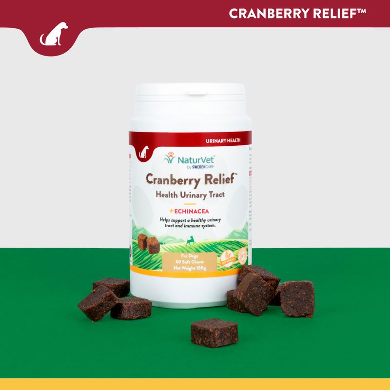 NaturVet Cranberry Relief 60 Chews