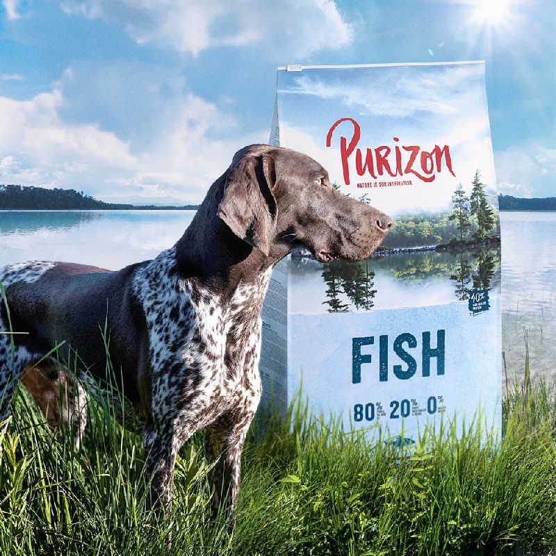 Purizon Fish Adult – Grain-free 1kg