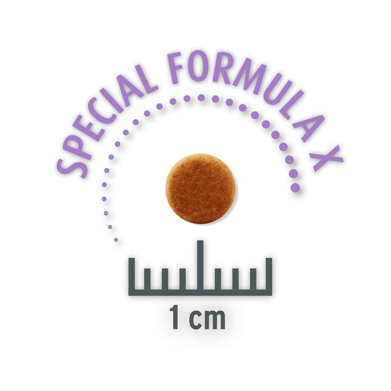 Concept for Life Economy Packs Sterilised Cats - Salmon (2 x 10 kg)