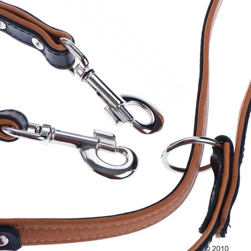 Heim Leather Lead & Collar Set - Stars Set 1