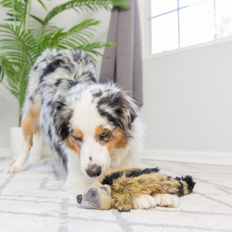 Hyper Pet Real Skinz Raccoon Approx. 40 x 10 x 8cm (L x W x H)