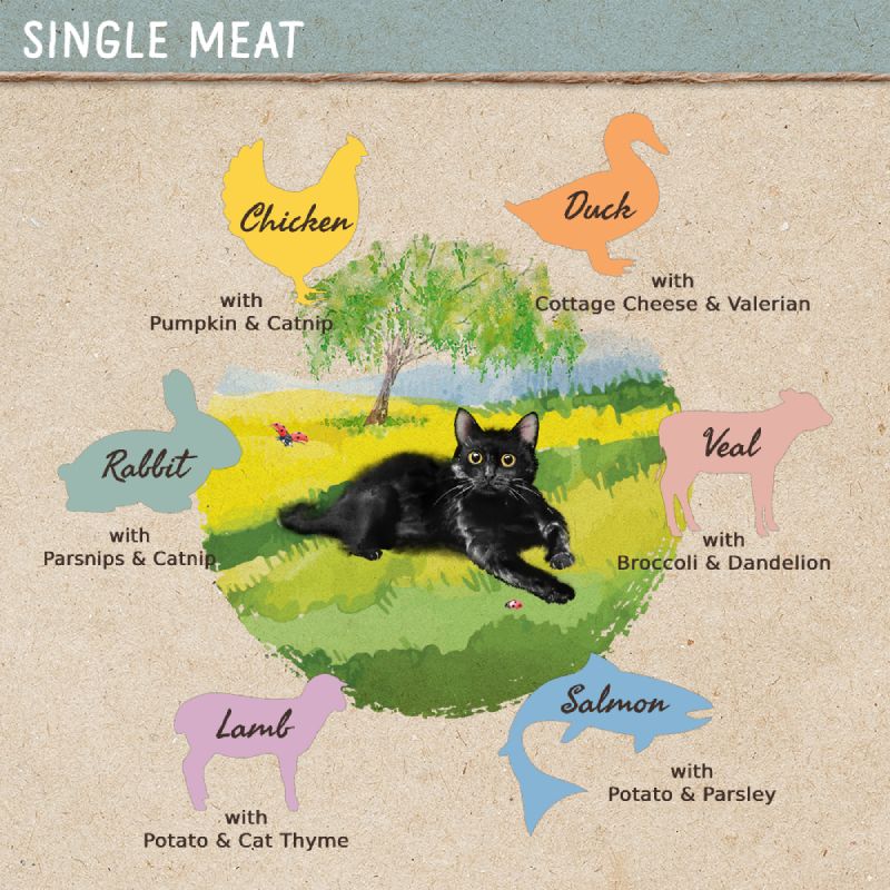 Feringa Single Meat Menu 6 x 410g Chicken with Pumpkin & Catnip