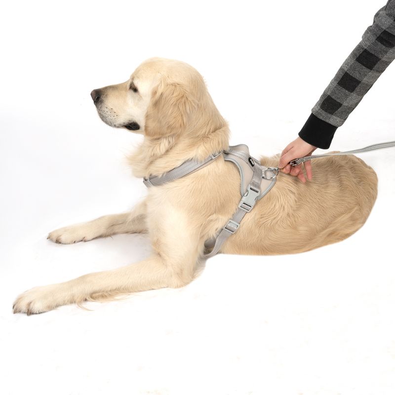 TIAKI Neoprene Harness - Grey Size XS: 28 - 42cm chest circumference