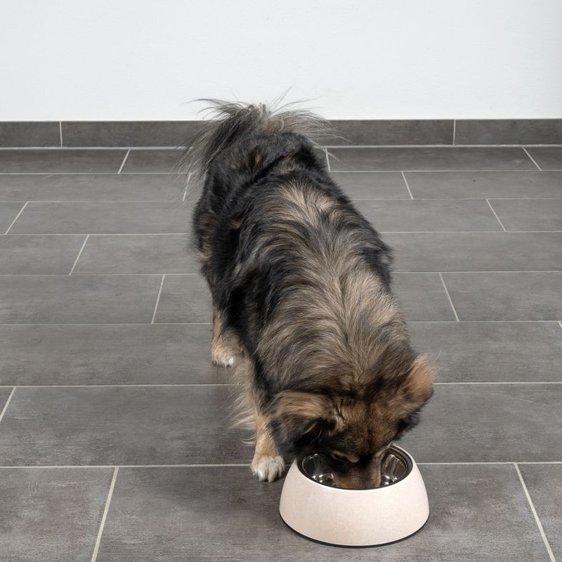 Modern Living Organic Sichuan Dog Bowl 850ml