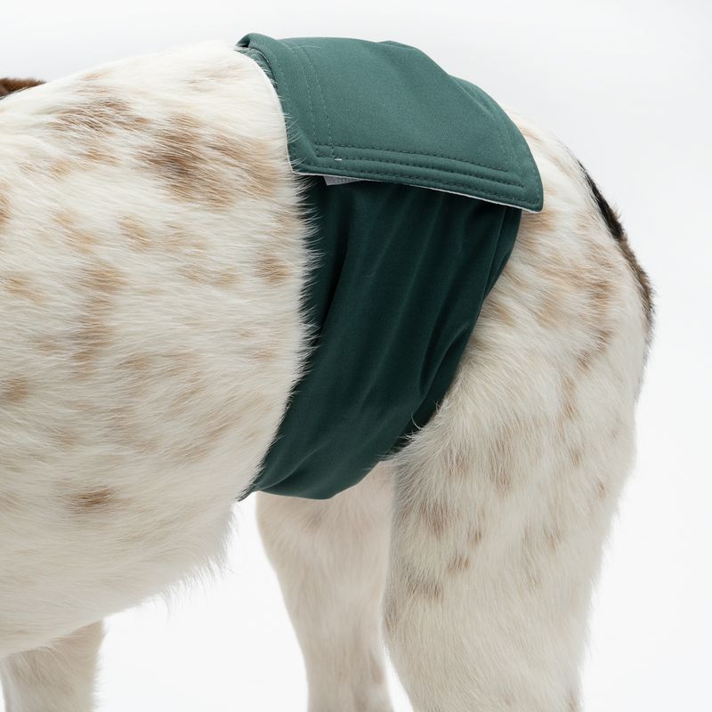 kooa Washable Nappy for Male Dogs Size S