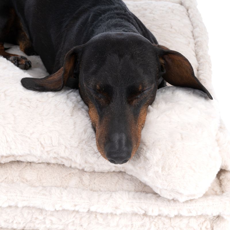 Modern Living Kuta Dog Mat Size XS: 60 x 40 x 8cm (L x W x H)