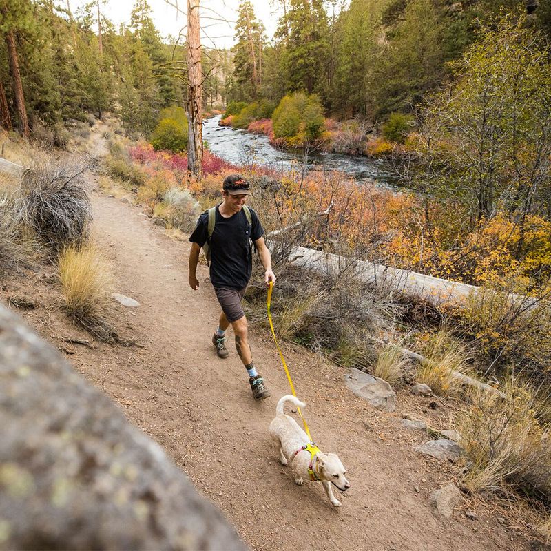 RUFFWEAR Flagline Leash Alpine Pink, 190 cm lang, 20 mm breit