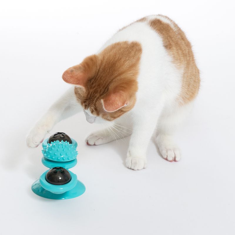 zooplus Basics Windmill with Catnip 1 Toy