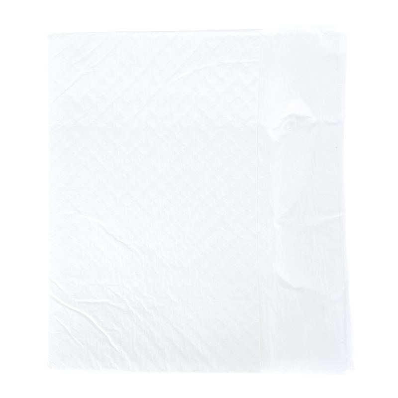 zooplus Basics Training Pads for Puppies 48 x 48 cm (L x W), 50 Pads