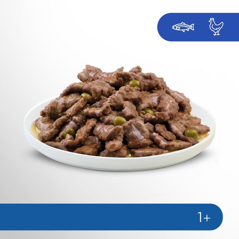 Perfect Fit Sterile Indoor Adult 1+ 4 x 85g Chicken & Salmon