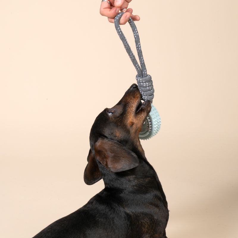 TIAKI Spiky Wheel Chew Toy with Rope approx. 30 x 9 x 4 cm (L x W x H)