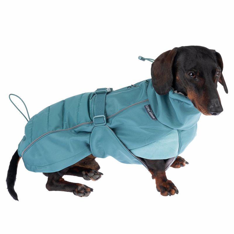 Nomad Tales Spirit Softshell Dog Coat - Pacific approx. 35cm Back Length