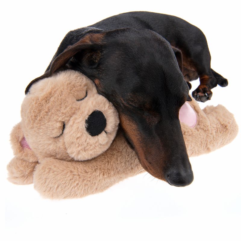 Mr Snugglez Dog Toy approx. 31 x 14 x 14cm (L x W x H)