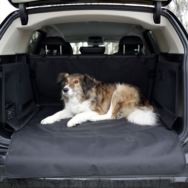 Kerbl Pet Car Blanket Economy 170 x 100cm (L x W)