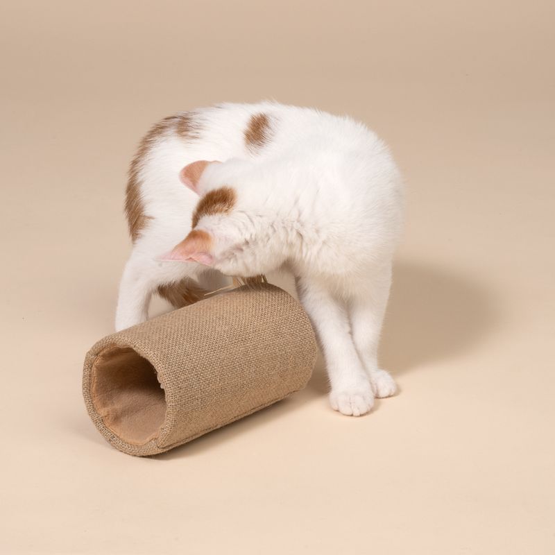 TIAKI Roquefort Tunnel with Mouse Cat Toy 1 Toy