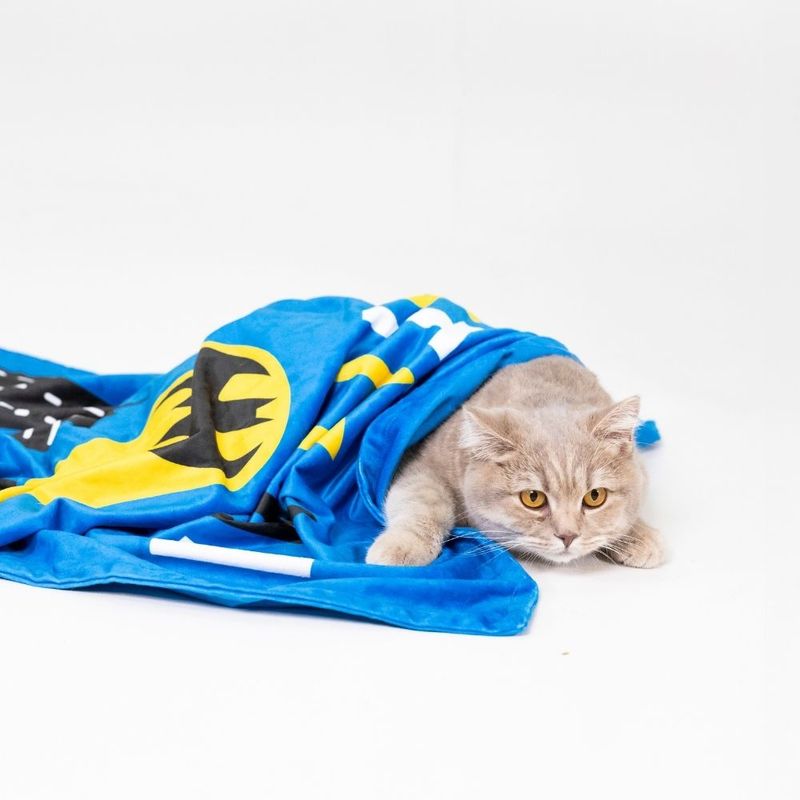 Warner Bros™ DC Batman Pet Blanket 100 x 70 cm (L x W)