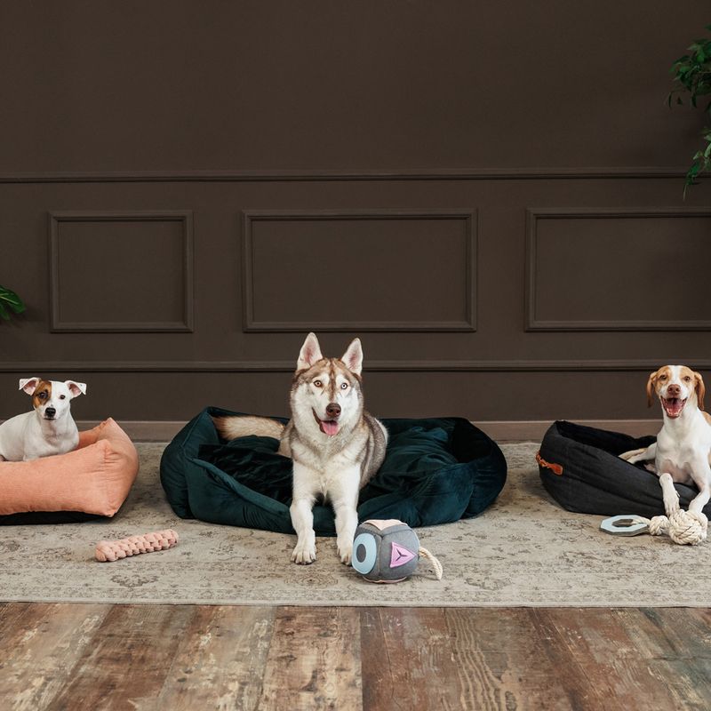 Modern Living Tarifa Dog Toy 4 x 24.5cm (diameter x L)