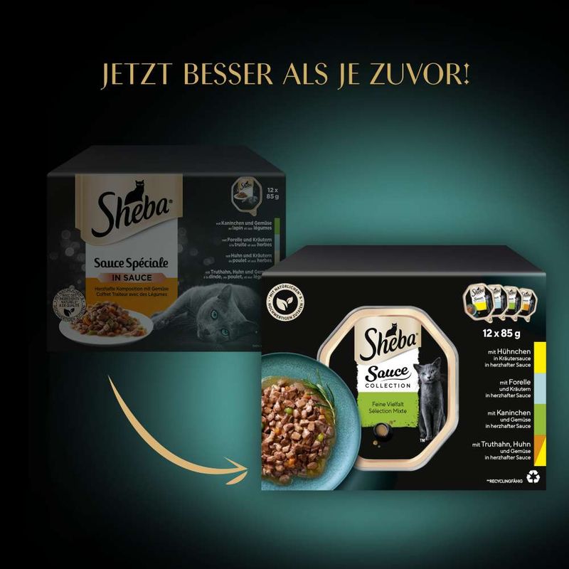 Sheba Varieties Multipack 12 x 85g Ocean Collection Classics in Terrine