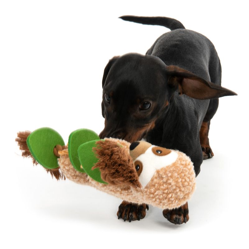 Sloth Dog Toy 1 Toy