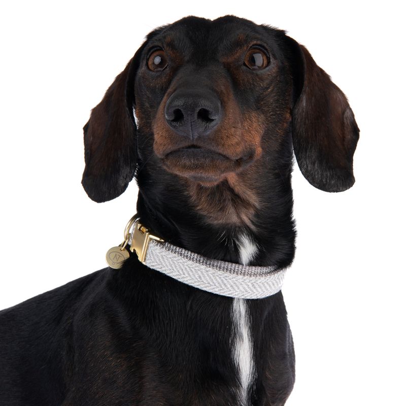 Nomad Tales Calma Collar, stone Size L: 39 - 64 cm neck circumference