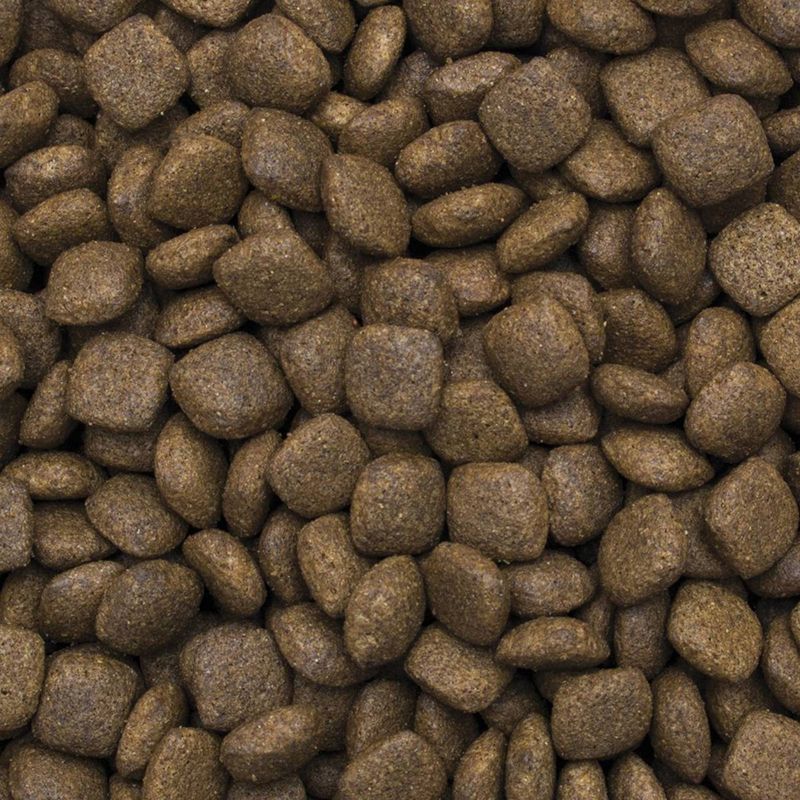 Tropidog Premium Junior Small & Medium Turkey & Rice 8kg