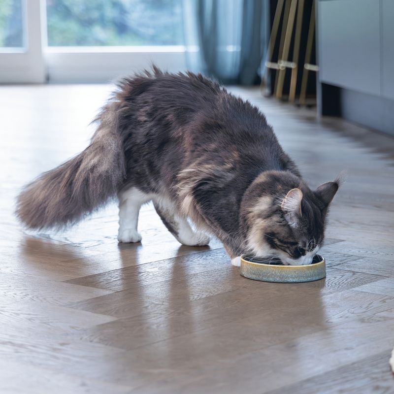 Designed by Lotte Jace Ceramic Cat Bowl – Green 350ml, 15cm (diameter)