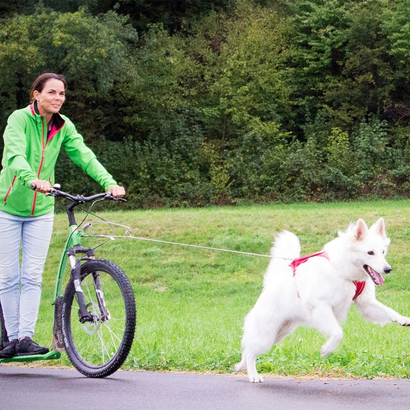 Curli ultra strong pocket leash Size S: 110 cm long