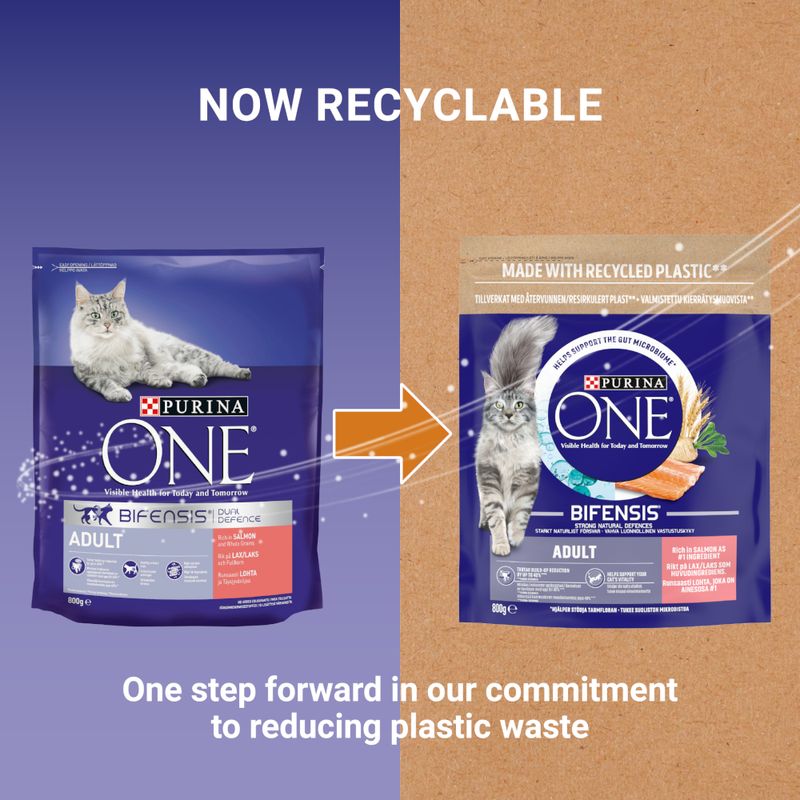 PURINA ONE Adult Salmon & Whole Grains Dry Cat Food 9.75kg