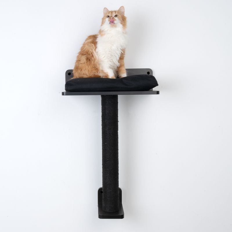 Modern Living San Francisco Scratching Post Black